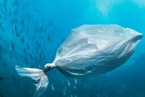 Çevre Kirliliği Nedir? Nedenleri Nelerdir?