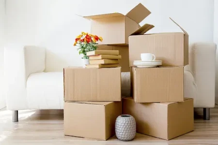 Ev Taşımak İçin Koli Nereden Alınır?