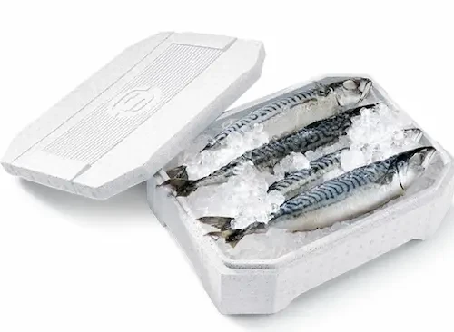 Doğru Gıda Paketleme Nasıl Olur?