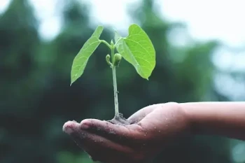 Sürdürülebilir Paketleme Nedir?